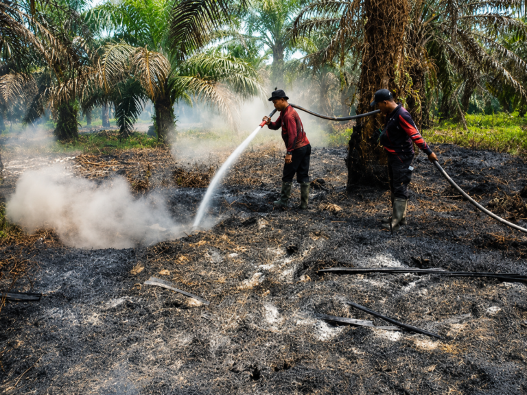 Pelalawan Diselimuti Asap Karhutla, Pemprov Riau Siapkan Bantuan Masker bagi Warga